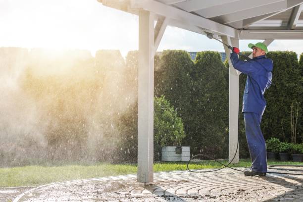 Solar Panel Cleaning in Island Walk, FL